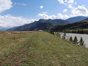Земельные участки в живописном районе Республики Алтай